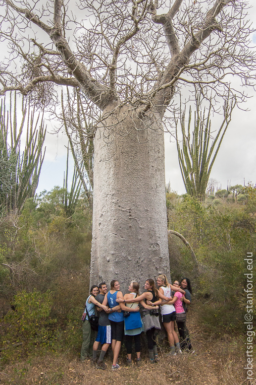 tree huggers